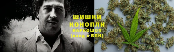 MESCALINE Белокуриха