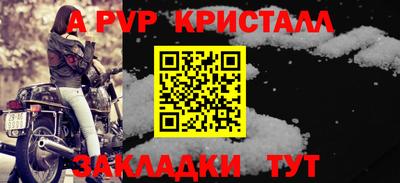 прущие грибы Донской