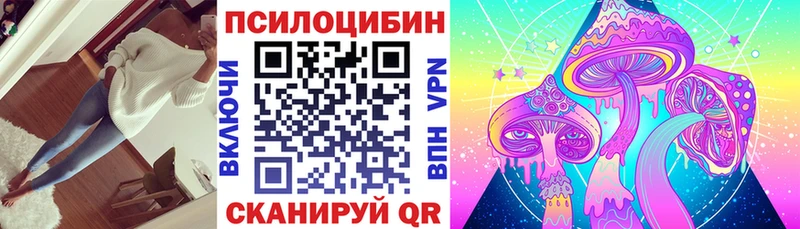 blacksprut   Буйнакск  Галлюциногенные грибы Cubensis  где можно купить  