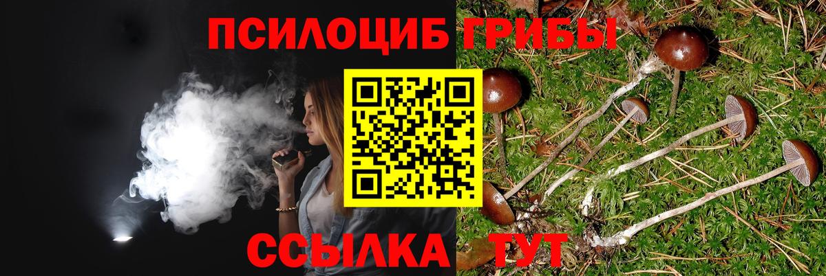 Буйнакск  Псилоцибиновые грибы GOLDEN TEACHER  Вход с VPN  Псилоцибиновые грибы Cubensis 
