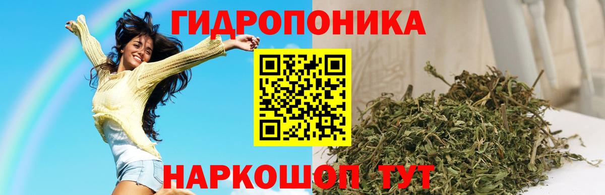 Канабис ГИДРОПОН Буйнакск